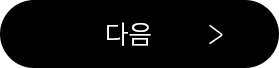 다음