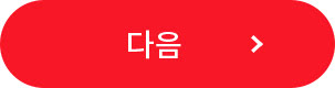 다음